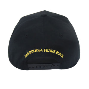 AMERIKKKA'S MOST WANTED CAP